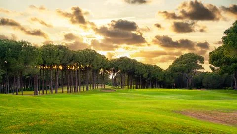 Panoramic view of beautiful golf course with pines with dramatic sky and clouds Stock Photos