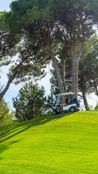 Panoramic view of beautiful golf course with buggy and pines on sunny day. Golf Stock Photos