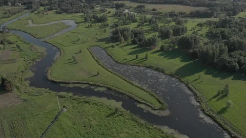 Panoramic view of the beautiful green landscape Video stock 101663549