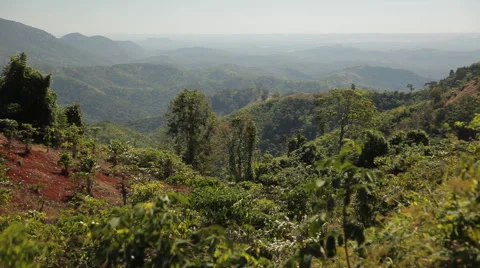 Panoramic view to the beautiful green valley among the mountains. Stock Footage 44400442