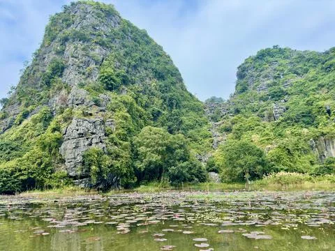 Panoramic view of beautiful limestone mountains and water lily swamp Stock Photos