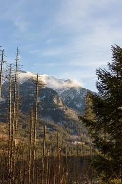 Panoramic view of a beautiful mountain range with lush trees. Stock Photos