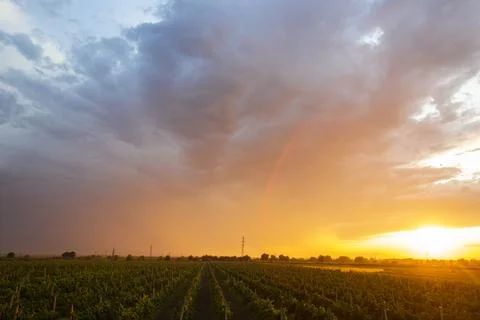 Panoramic view in beautiful orange sunset Stock Photos
