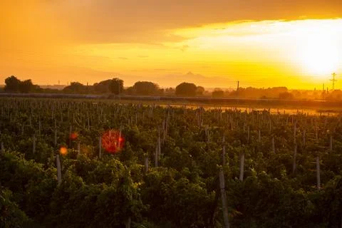 Panoramic view in beautiful orange sunset Foto stock