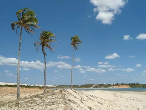 Panoramic view of beautiful river, coconuts tree and beach in Ceara, Brazil Stock-Fotos