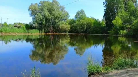 A panoramic view of a beautiful small lake with tall trees lining its banks.. Фото