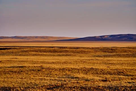 Panoramic view: beautiful spring landscape: spring huge great steppe wakes up Foto stock