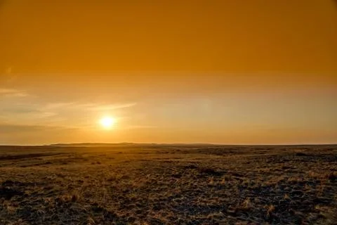 Panoramic view: beautiful spring landscape: spring huge great steppe wakes up Stock Photos