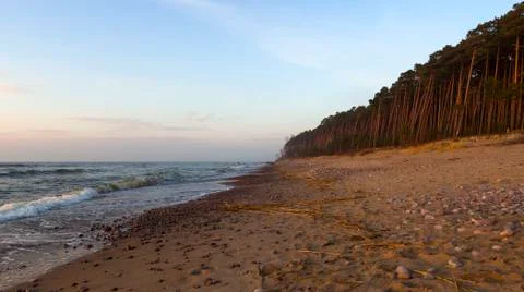 Panoramic view Beautiful sunset on the sandy beach and pine forest of the Bal Stock Photos