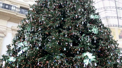 Panoramic view of a big christmas tree in city Stock-Footage 58088063