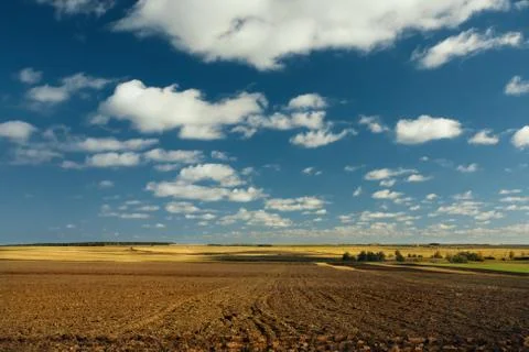 Panoramic view of a big field with the small wood and the river, with clouds  Stock Photos