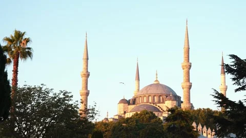 Panoramic view of Blue Mosque or Sultan Ahmed Mosque at dawn and flying seagulls Stock Footage 248506357