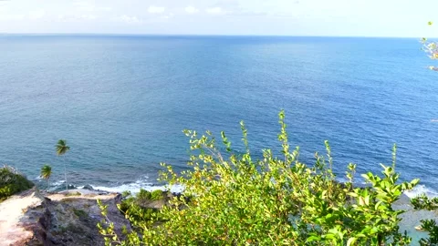 Panoramic view of blue ocean, beach, coconut trees and green nature Stock Footage 142882233