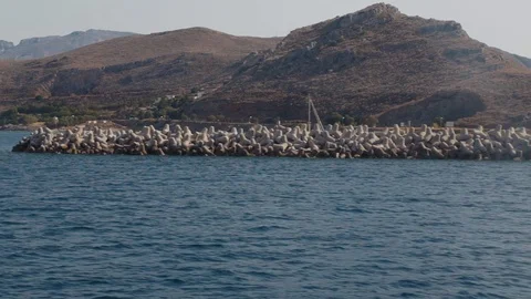 Panoramic view of the breakwaters . Coastline in Greece with mountain views Video stock 129818189