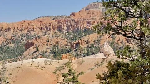 Panoramic View of Bryce Canyon National Park Red Rock Hoodoos and Pine Trees Stock Photos