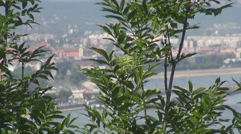 Panoramic view of Budapest and the Danube river, Budapest, Hungary 스톡 동영상 7733085