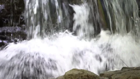 Panoramic View of a Calm Forest Stream Stock Footage 311668025