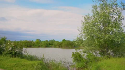 Panoramic view of a calm lake surrounded by lush green trees in spring. Stock Footage 345132498
