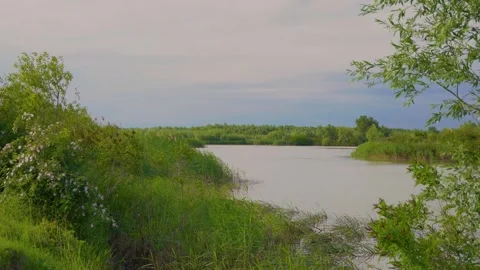 Panoramic view of a calm lake surrounded by lush green trees in spring. Stock Footage 345132629