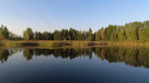 Panoramic view of a calm lake water surface with reflecting trees in mid fall Stock Footage 301509423