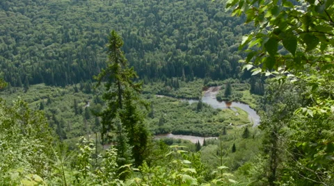 Panoramic view of Canadian park Stock Footage 58860894