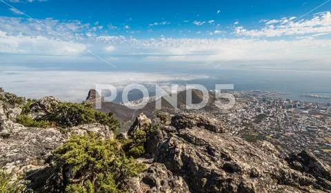 Panoramic view of Cape Town, Lion's Head and Signal Hill from the top of Tabl Stock Photos