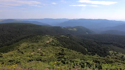 Panoramic view of the Carpathian Mountains on a warm clear summer day Stock Footage 144384614