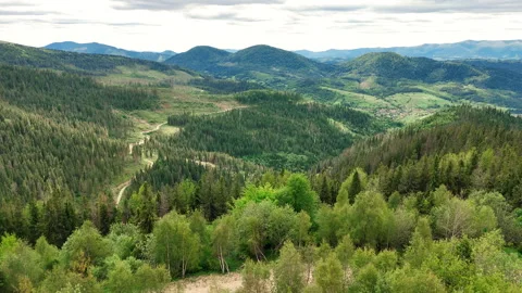 Panoramic View of Carpathian Valleys and Forest Roads, Rolling Hills and Stock Footage 312315713