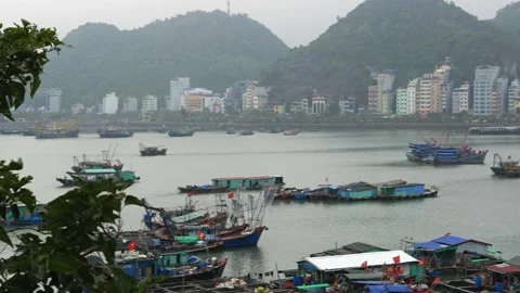 Panoramic View of Cat Ba Harbour with houseboats and mountains in the background Video stock 146739494