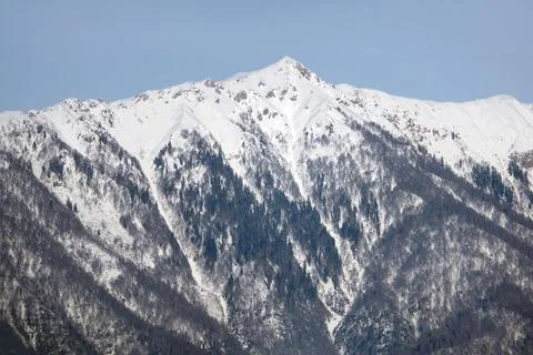 Panoramic view of the Caucasus mountain range from Adler, Russia. 写真素材