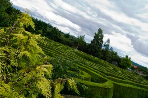 Panoramic view of a Celtic maze in Wicklow, Ireland. Stock Photos