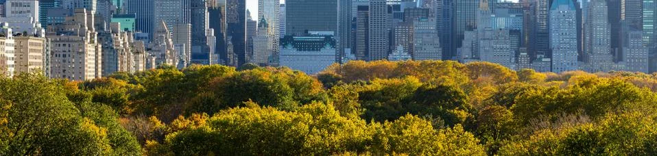 Panoramic view of Central Park in Fall. Manhattan, New York City Stock Photos