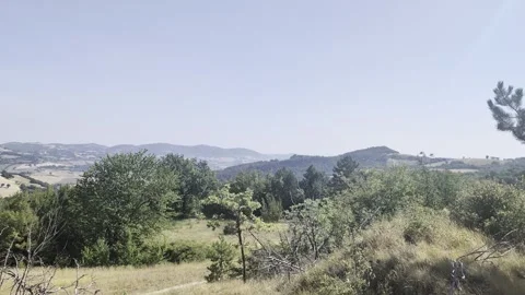 Panoramic view of the Cesane Forest Stock Footage 344131307