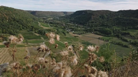 Panoramic View of Chateau-Chalon Vineyards with Blurred Wildflowers - Jura,.. 库存影片 344449177