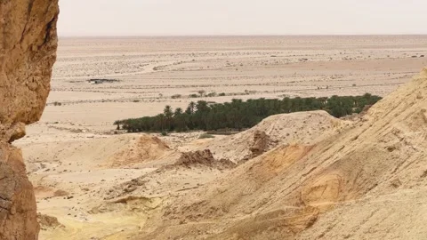 Panoramic view of Chebika oasis with vibrant palm trees surrounded by Tunisia Stock Footage 302040486