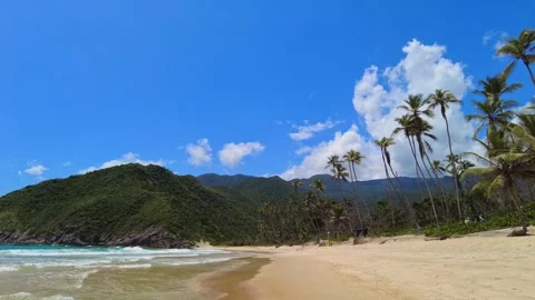 Panoramic view of Choroni's large beach on a sunny day, with crystal-clear 库存影片 333362478