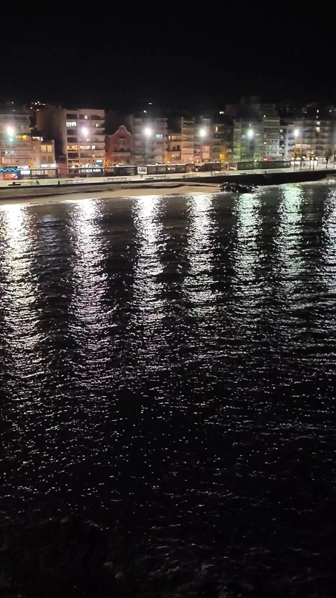 Panoramic View, city on the coast at night, reflections on the water, vertical Stock Footage 270745189