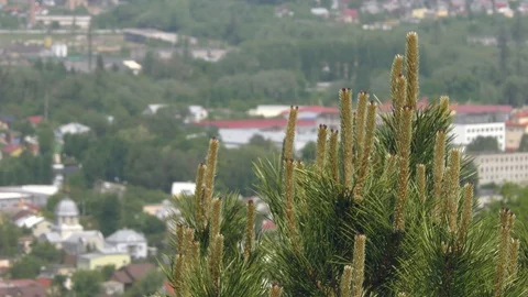 Panoramic view of the city in spring (summer) from the hill Stock Footage 124420207