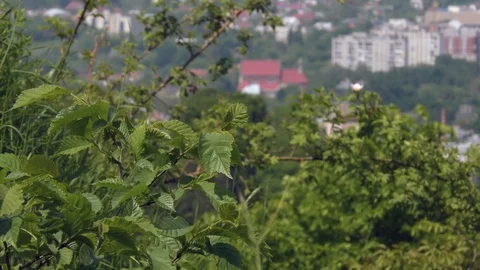 Panoramic view of the city in spring (summer) from the hill Stock Footage 124420552