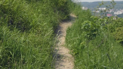 Panoramic view of the city in spring (summer) from the hill Stock Footage 124422850