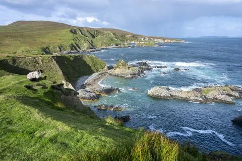 A panoramic view of the Cleggans Cliffs in Ireland. Stock Photos