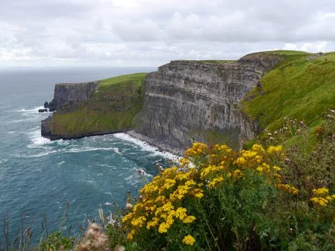 Panoramic view of Cliffs of Moher, Ireland with yellow wild flowers Stock Photos