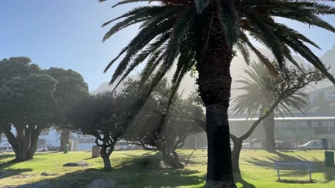 Panoramic view on the Clifton beach in Cape Town Stock Footage 234324963