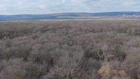 Panoramic view of cloudy sky above distant landscape Stock Footage 328571791
