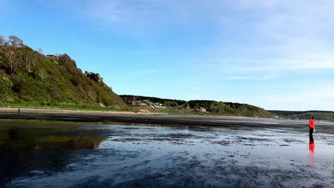 Panoramic view of the Coast and men collecting Seaweed Kelp . Vertical video Stock Footage 244027038
