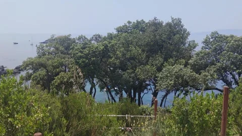 Panoramic view of the coast of Calabria from the town of San Nicola Arcella. Stock Footage 200898359