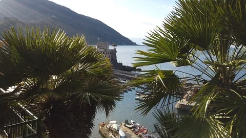 Panoramic view of the coast of Camogli 動画素材 101487382