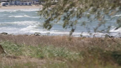 Panoramic view of the coast through branches Stock Footage 168311164