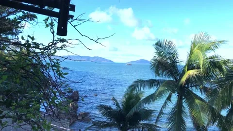 Panoramic view of coconut trees and seascape of Tien Sa beach, Da Nang, Vietnam Video stock 143990116