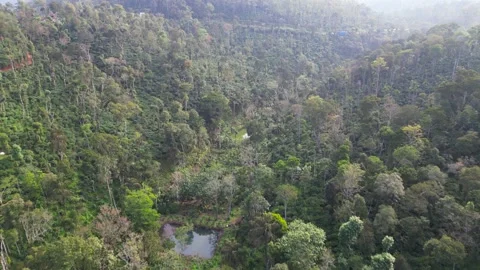 Panoramic view of Coffee estates in Coorg district , Karnataka, India Stock Footage 287881247